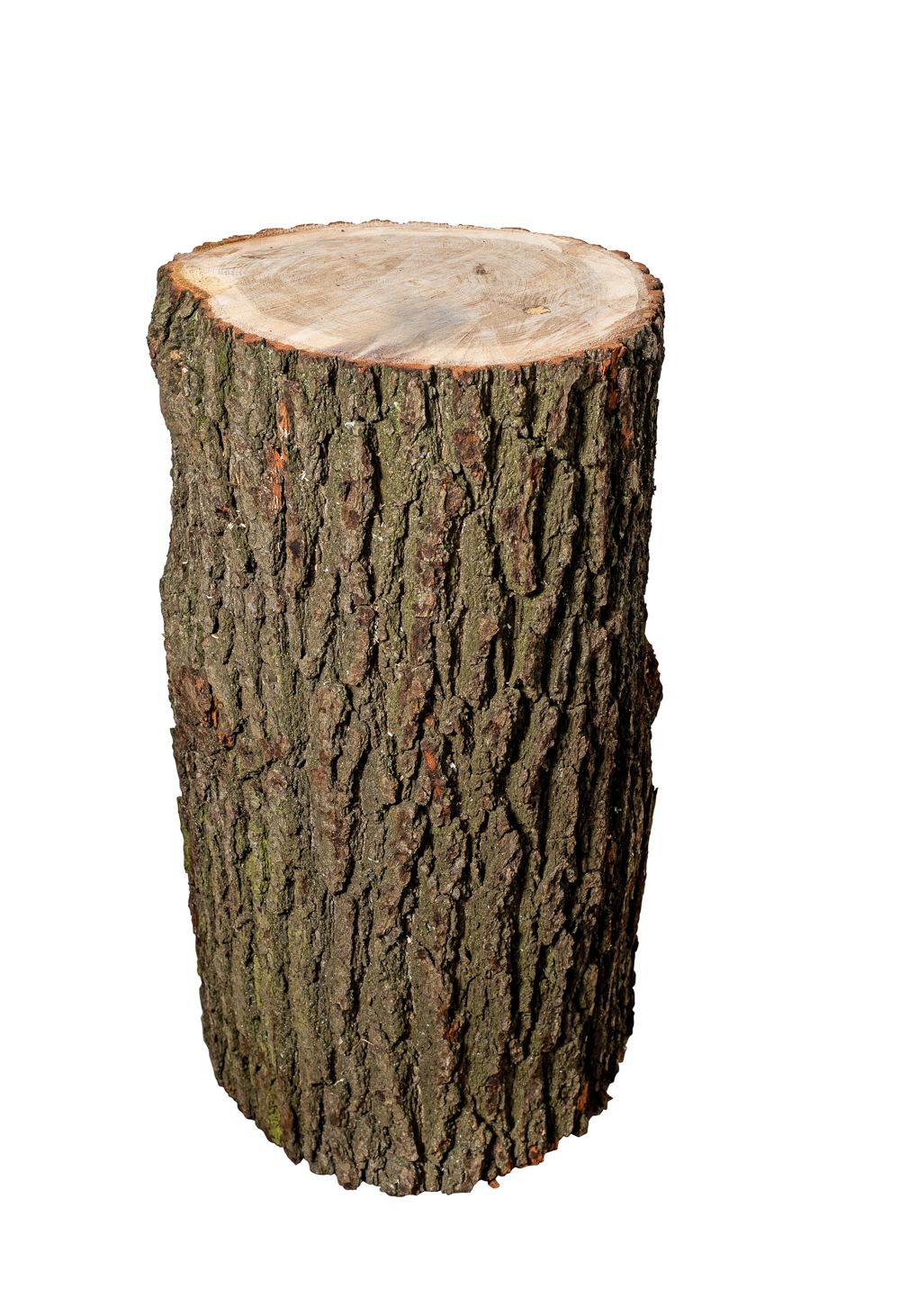Hackklotz Hartholz Eiche, Höhe 75 cm Hackklotz Hartholz Eiche, Höhe 75 cm